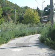 Due immagini del degrado lungo le strade di Cucigliana 