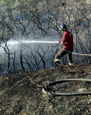 Vigile del fuoco al lavoro 