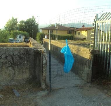 La passerella  