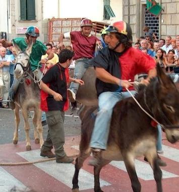 <b>LA CORSA.</b> Domani a Vetulonia 