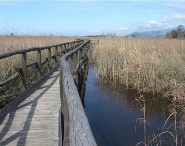 Loasi di Massaciuccoli arrivo della ciclopista 