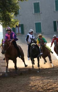 <strong>IN GARA.</strong> Alla conquista del Palio