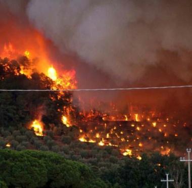 Piromani ancora in azione Incendio a San Bernardo bruciano pini e sottobosco