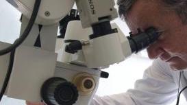 Un esame dermatologico per prevenire il diffondersi del melanoma (Foto d’archivio)