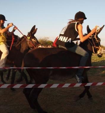 <b>VETULONIA.</b> &Egrave; andato in scena il palio dei ciuchi 