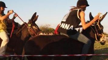 <b>VETULONIA.</b> È andato in scena il palio dei ciuchi