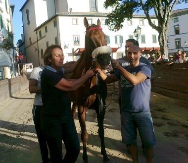<b>PALIO.</b> Un momento della gara dellanno scorso 
