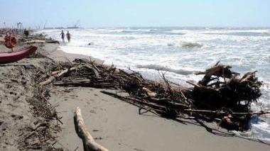 Spiagge invase dai tronchi trasportati dalla mareggiata