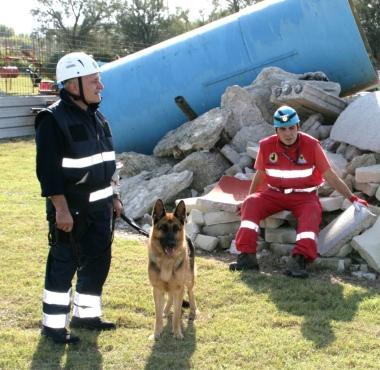 Un cane durante una delle esercitazioni al campo del Lillatro 