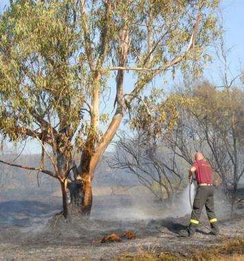 Pompieri intenti a spegnere un incendio boschivo 