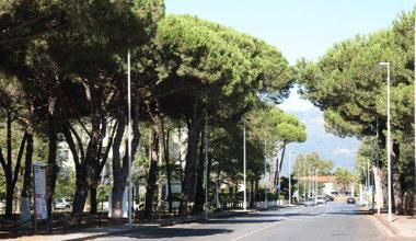 Turismo: GayLib chiede tavolo sulla sicurezza