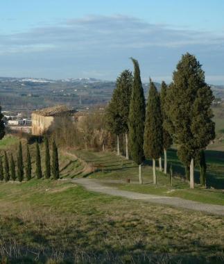 Il parco di Canonica far&agrave; da cornice stasera alla festa dedicata agli anni Settanta  