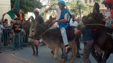 Una patente per guidare... i ciuchi