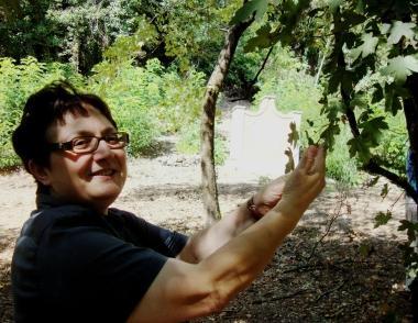 A destra il sindaco Marchi con la vigna cara a Galileo Galilei e sotto i tortelli di patate della Vallata 