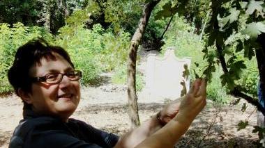 A destra il sindaco Marchi con la vigna cara a Galileo Galilei e sotto i tortelli di patate della Vallata