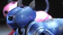 I robot di Roborama