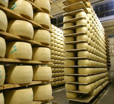 <b>FORMAGGIO</b> Uno stabilimento caseario               