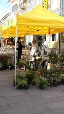 AllExpo anche il mercato agricolo con prodotti locali 