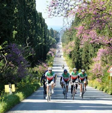 «Inconcepibile sporcare il viale dei cipressi»