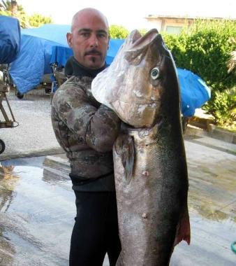 Nicola Crupi con il mega-pesce