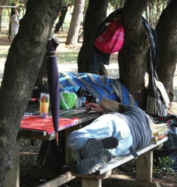 C'era una volta la pineta Marradi