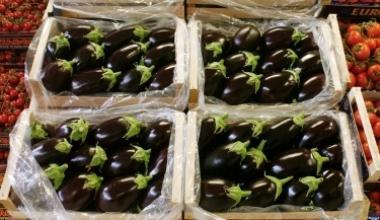 Sorpresi a rubare di notte meloni e melanzane: un arresto e due denunce
