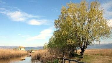 Il Padule di Fucecchio è inserito tra le peculiarità su cui puntare