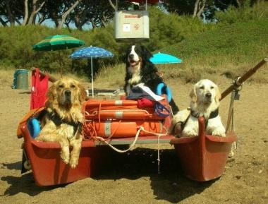 <b>CANI BAGNINO. </b>In tre sul patino e una pattuglia in azione in mare 