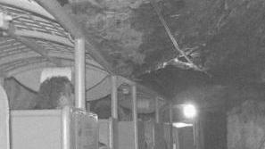 Il treno che entra in galleria e visitatori del Temperino