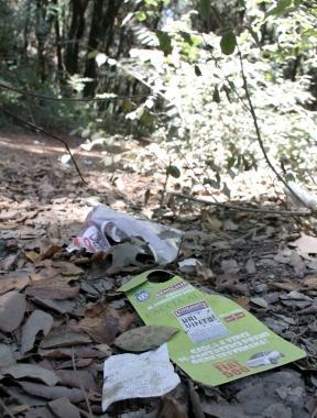 Il parco della Versiliana a Fiumetto Dai frequentatori uan denuncia per le condizioni di degrado di alcune zone 
