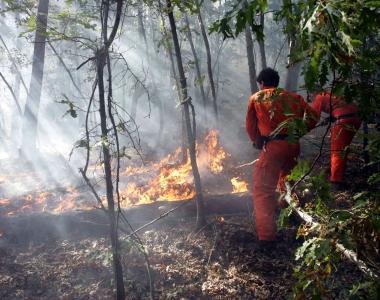 Prorogato a fine mese l'allarme per gli incendi