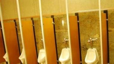 Wc pubblici in consiglio