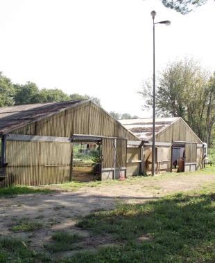 La zona delle serre allinterno del parco della Versiliana  