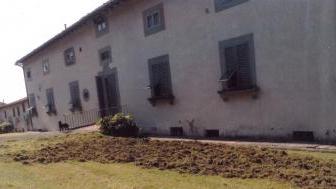 Il giardino della villa del marchese Pancrazi devastato dai cinghiali
