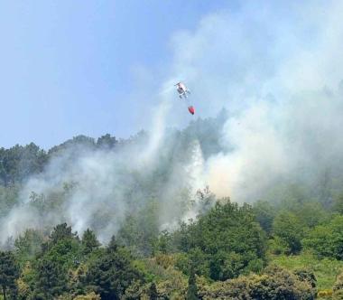 Un bosco in fiamme sulle colline  