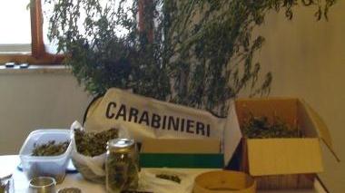 <b>SEQUESTRO.</b> Dei carabinieri di Scansano