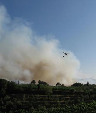 Un incendio nella campagna della Piana (Vip) 