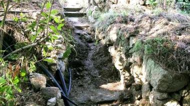 Conduttura idrica danneggiata dai cinghiali in un giardino di Marciana