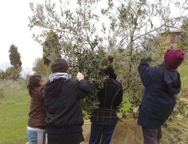 La riabilitazione è "sul campo"