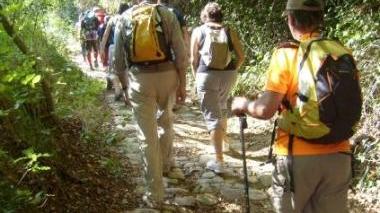 Una camminata nel bosco