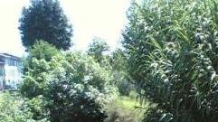 Un tratto del condotto pubblico