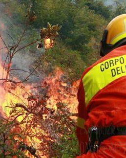<b>SALVATAGGIO </b>Eseguito da una pattuglia della Guardia Forestale          