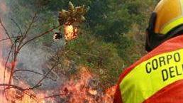 <b>SALVATAGGIO </b>Eseguito da una pattuglia della Guardia Forestale