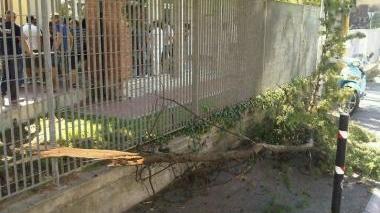Il ramo caduto davanti a scuola