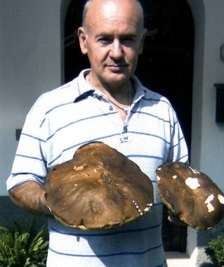Luciano Giannini, cercatore di funghi, con i porcini da record che trovò un paio di anni fa