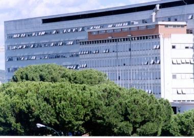 <b>LOSPEDALE.</b> Il Misericordia di Grosseto 
