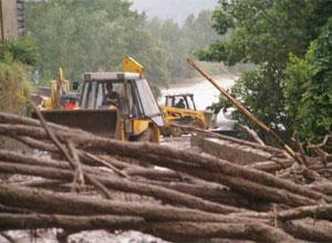 Alberi sradicati e allagamenti per pioggia e vento