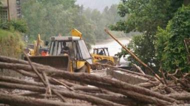 Alberi sradicati e allagamenti per pioggia e vento