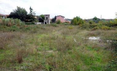 <b>TERRENO.</b> Erbacce in un campo la foto &egrave; di archivio   