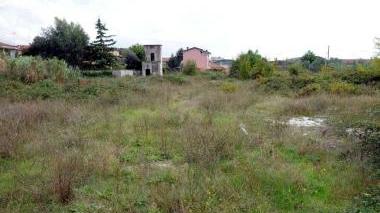 <b>TERRENO.</b> Erbacce in un campo la foto è di archivio
